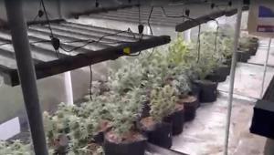 Uyuşturucu imal edilen eve operasyon: 2 tutuklama