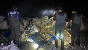 Van'da kaçak avlanan bir ton ölü inci kefali ele geçirildi