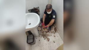 İki bina arasında sıkışan kedi kurtarıldı