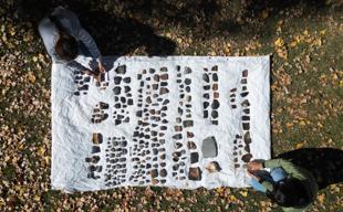 Ancient grains shed light on Early Bronze Age life