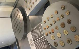 110 smuggled artifacts returned to Türkiye this year