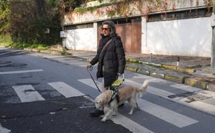 Guide dogs strengthen mobility, safety for Türkiye’s visually impaired
