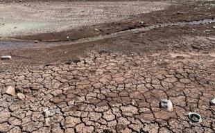 Türkiye loses 1 centimeter of soil every 16 years, expert warns
