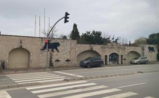 Türkiye’s prominent zoo closes after 33 years of operation