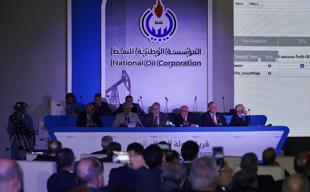 Türkiyes TPAO wins two blocks in Libyas oil and gas licensing round