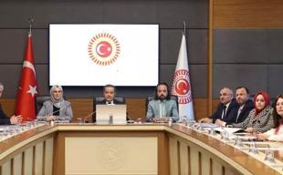 Panel urges new presidential body to combat child abuse in Türkiye