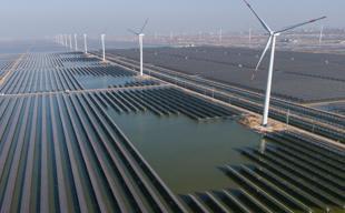 Global renewable capacity sees record growth: IRENA