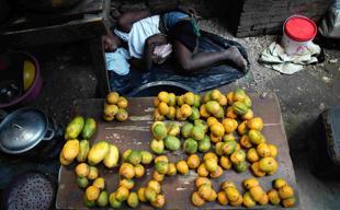 World Bank chief economist warns of hunger risk from war