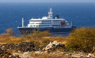 WHO: 2 hantavirus cases confirmed, 5 suspected on cruise ship