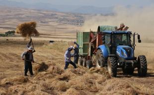 Agricultural input prices in Türkiye rise 34.3 percent annually in March