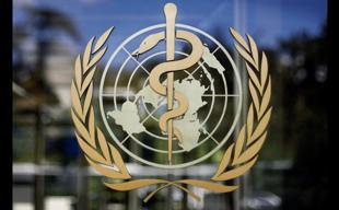 WHO says Ebola risk high regionally, low worldwide