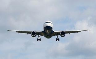 Sustainable jet fuel too costly and scarce, airline group warns