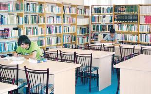 Library use on rise in Türkiye: Official data