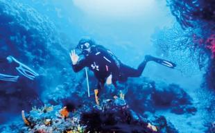 Ayvalık reopens famed Byzantine wreck to divers