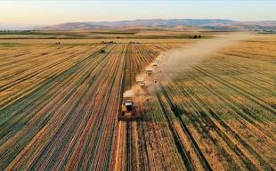 Türkiye’s agricultural output tops $83 billion in record high