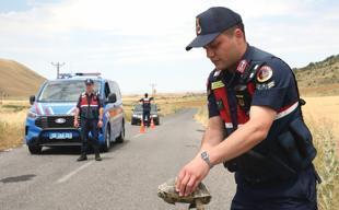 Gendarmerie patrols ‘Tortoise Valley’ to protect wildlife