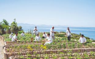What happens when seafood restaurant decıdes to save sea