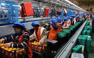 Türkiye injects 187.5 bln lira into manufacturing sector through 2028