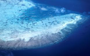 Great Barrier Reef at risk of ‘collapse,’ scientists warn