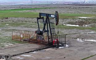 Diyarbakır could produce up to three times as much oil as Gabar: Minister