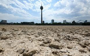 As Europes rivers recede, shippers scramble to limit damage