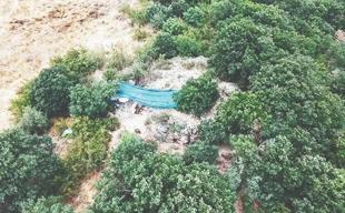 e-DNA to probe missing remains in Türkiye’s northwest