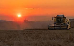 Türkiye’s strong grain stocks shield it from global supply risks: Industry official