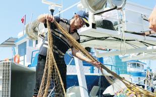 Fishing ban ends as Black Sea fishermen anticipate bumper bonito season