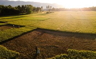 El Nino could be strongest in decades, UN warns