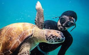 Freediver forms bond with female sea turtle ‘Mahmut’