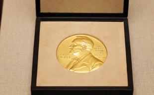 Nobel Peace Prize jury treads carefully after Trump campaign