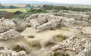 Dietary habits of Lydians revealed in charred seeds