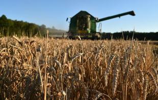 EU reaches accord on new generation of GM crops