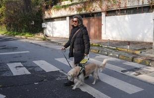 Guide dogs strengthen mobility, safety for Türkiye’s visually impaired