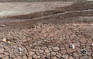 Türkiye loses 1 centimeter of soil every 16 years, expert warns