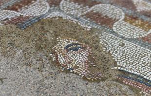 Mosaic-floored reception hall unearthed in Hadrianopolis