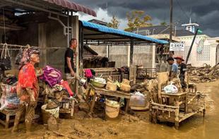 Indonesia floods extinction level for rare orangutans