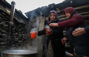 Uludağ women turn boil pine cones into prized ‘pekmez’