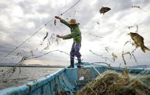 Türkiye expands fishing operations into Somali waters
