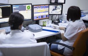 Turkish graduates land first job in under 5 months: Report