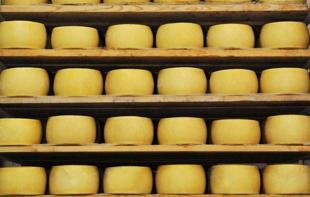 A cheese story stretching from Urfa to America