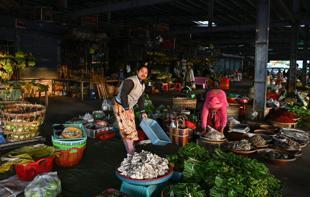 Myanmar pro-junta party claims huge win in poll