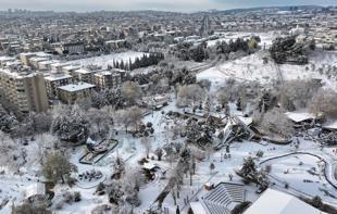 Schools shut across Türkiye as fierce winter storm topples transport