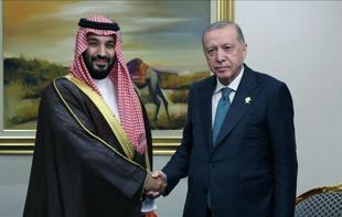 Türkiye closely following developments in Yemen, Somalia: Erdoğan