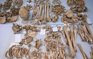 Genetic mapping made for people who lived at ancient hill