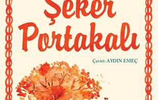 Türkiye’s top court recognizes translator rights in book title dispute