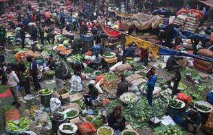 Global food prices up 4.3 pct in 2025, says FAO