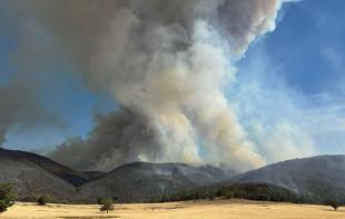 Scores of homes razed, one dead in Australian bushfires