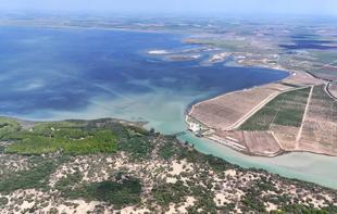 Çukurova Delta hosts rich birdlife even in winter