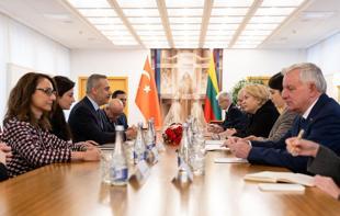 Turkish, Baltic top diplomats meet in summit to discuss Europe’s security